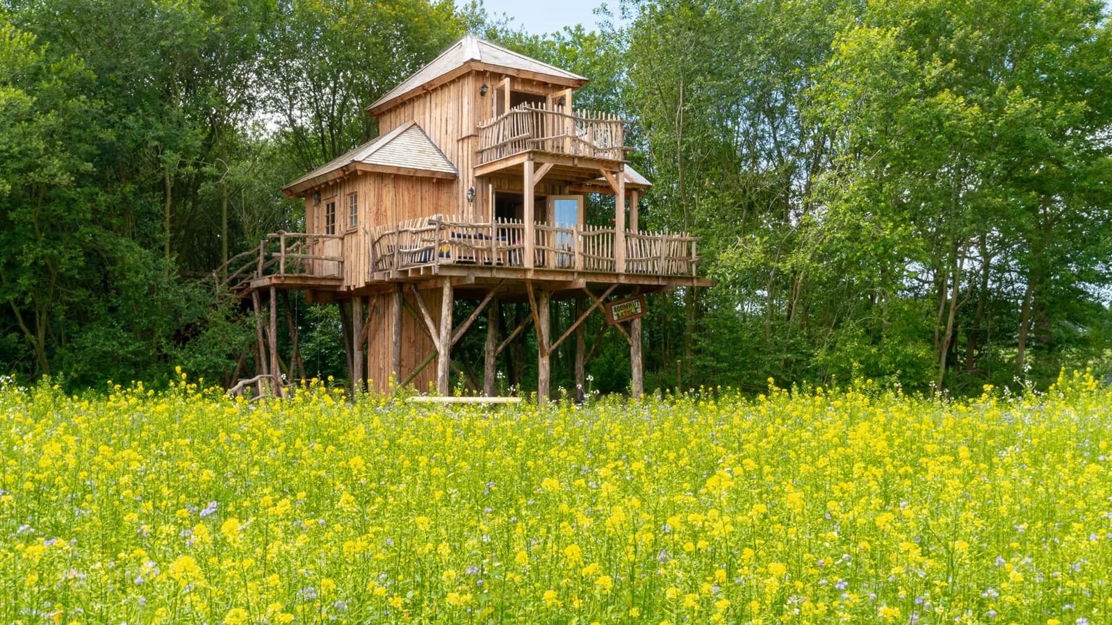 Luxe boomhut in Drenthe in Anderen