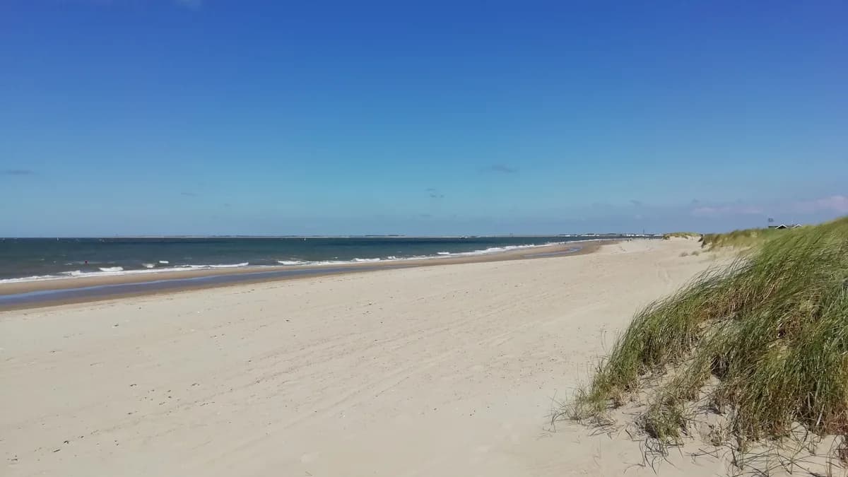 Het strand en de Noordzee bij Renesse